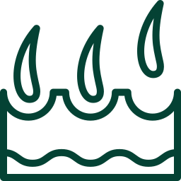 صفحه اصلی