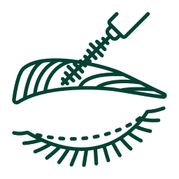 صفحه اصلی